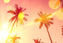 Las actualizaciones para Moonlight and Sunshine y transmisiones de mesa ya están disponibles
