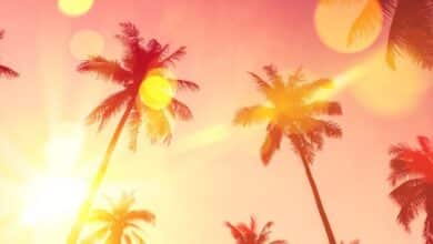 Las actualizaciones para Moonlight and Sunshine y transmisiones de mesa ya están disponibles
