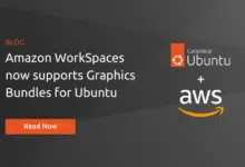 Libera el poder de tu GPU: Ubuntu WorkSpaces ahora es compatible con la suite Graphics G4dn
