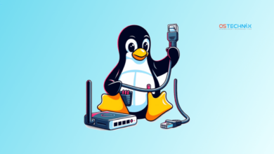 Cómo asignar una dirección IP a un sistema Linux remoto a través de SSH