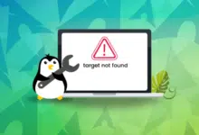 [Solved] Error "Destino no encontrado" en Arch Linux