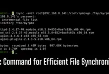 16 ejemplos prácticos de instrucciones Rsync en Linux