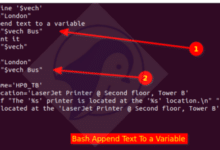 Bash agrega literal a variable (cadena de concatenación)