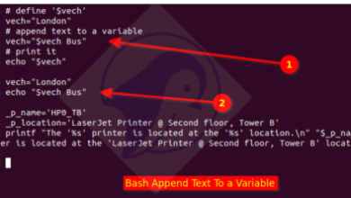 Bash agrega literal a variable (cadena de concatenación)