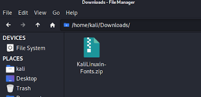 Descarga del archivo zip de fuente Kali Linux