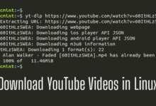 dlp: descarga vídeos de YouTube desde la línea de comandos de Linux