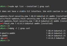 Cómo comprobar si un paquete de software está instalado en Linux
