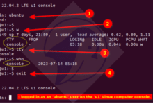 How to kill process or user by tty name in Linux