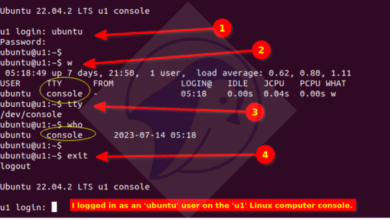 How to kill process or user by tty name in Linux