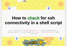 How to check for ssh connectivity in a shell script