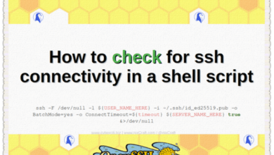 How to check for ssh connectivity in a shell script