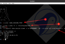 How to check for Wayland or Xorg (X11) Linux desktop