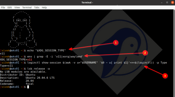 How to check for Wayland or Xorg (X11) Linux desktop