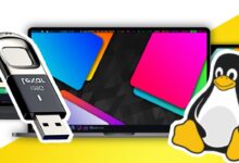 Cómo instalar Garuda Linux Wayfire