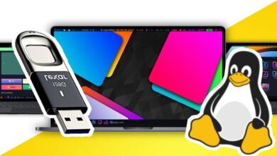 Cómo instalar Garuda Linux Wayfire