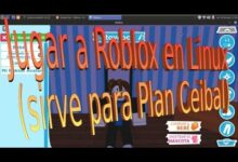 Cómo jugar Roblox en Linux - Para Plan Ceibal