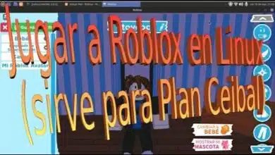 Cómo jugar Roblox en Linux - Para Plan Ceibal