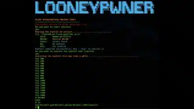 Explotando la falla de glibc "Looney Tunables" en Linux