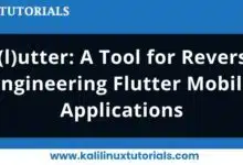 Herramienta de ingeniería inversa de aplicaciones móviles Flutter