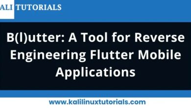 Herramienta de ingeniería inversa de aplicaciones móviles Flutter