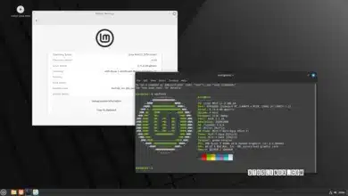 Linux Mint 21.3 Beta ya está disponible para descargar junto con Cinnamon 6.0