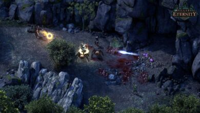 Los Pillars of Eternity de Obsidian recibirán un nuevo parche casi 9 años después de su lanzamiento