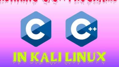 Cómo ejecutar programas C y C++ en Kali Linux