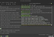 Cómo instalar Roblox frco 2022 PT br en Linux en PC