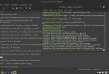 Cómo instalar Roblox frco 2022 PT br en Linux en PC