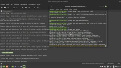 Cómo instalar Roblox frco 2022 PT br en Linux en PC