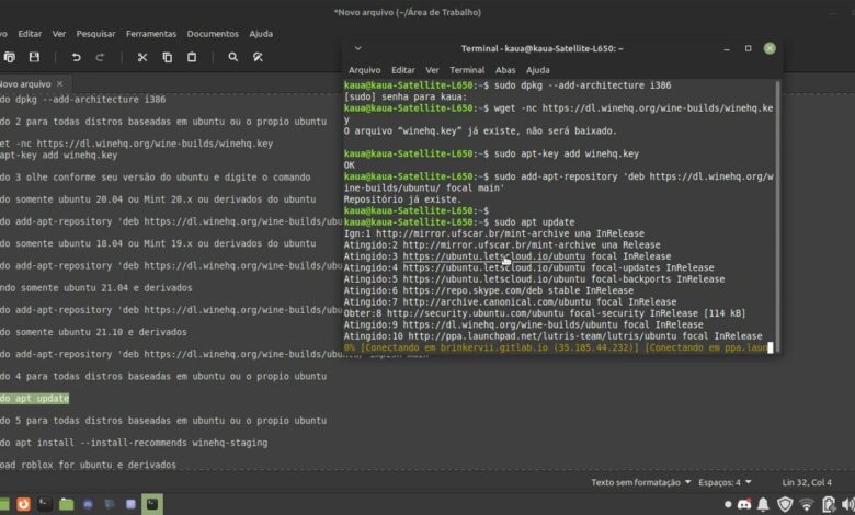 Cómo instalar Roblox frco 2022 PT br en Linux en PC