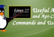 Cómo utilizar apt y apt-cache en sistemas Debian