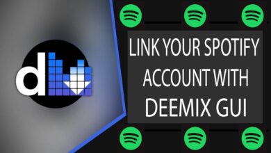 Cómo vincular Spotify con la GUI de Deemix