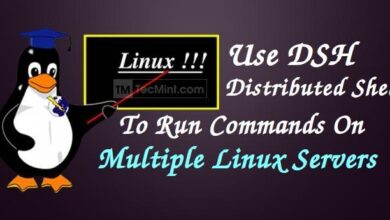 DSH (Dancer's Shell): ejecutar comandos en múltiples hosts Linux