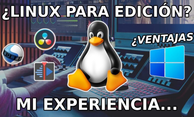 🎞 Editar vídeos en Linux // ¿Funciona? 2022