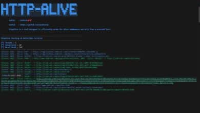 Herramienta de análisis de URL para pruebas de penetración de aplicaciones web
