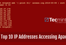 Cómo encontrar las 10 principales IP que acceden a servidores Apache/Nginx