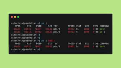 Cómo encontrar el ID del proceso principal en Linux: una guía paso a paso