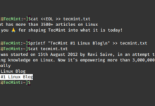 Cómo agregar líneas a un archivo existente en Linux