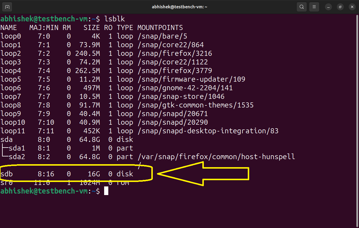 Utilice el comando lsblk para comprobar el disco en Linux