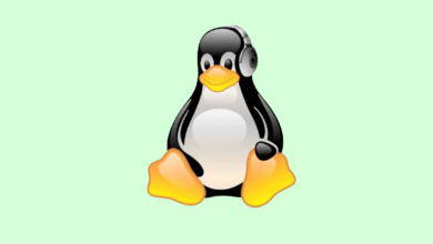 Los 3 mejores reproductores de música en la nube de Linux
