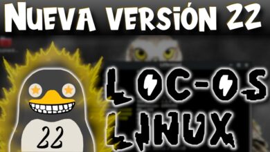 Sistema operativo nativo Linux 22