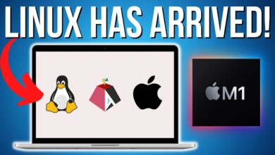 ¡Linux nativo en Mac M1 es increíble! Tutorial de instalación de Asahi ARM Alpha: ¿Puede Proton jugar?