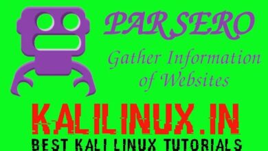 Parsero: escanear en busca de vulnerabilidades