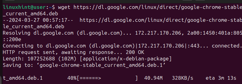 Descargar el paquete Google Chrome
