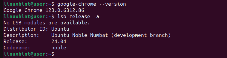 Verifique la versión de Google Chrome
