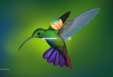Cómo instalar el entorno de escritorio Deepin en Arch Linux