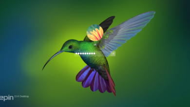 Cómo instalar el entorno de escritorio Deepin en Arch Linux