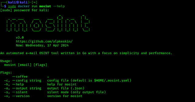 Verifique las opciones de descripción de Mosint a través de la ventana acoplable en Kali Linux