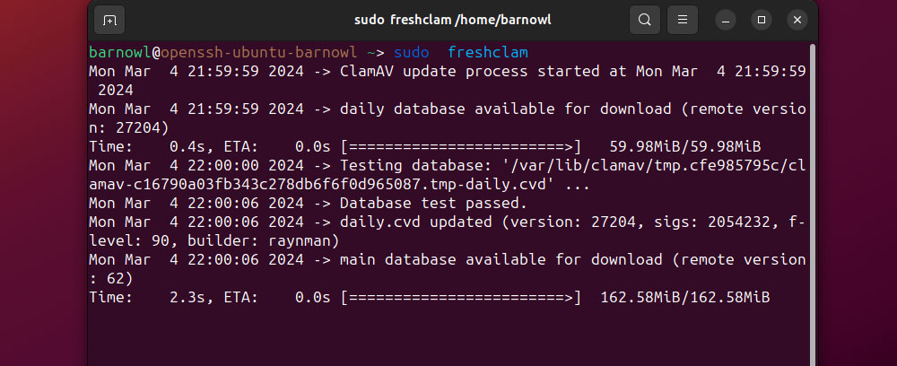Actualizar la base de datos de definiciones de virus mediante sudo Freshclam